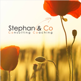 Stephan and co - Création de site internet