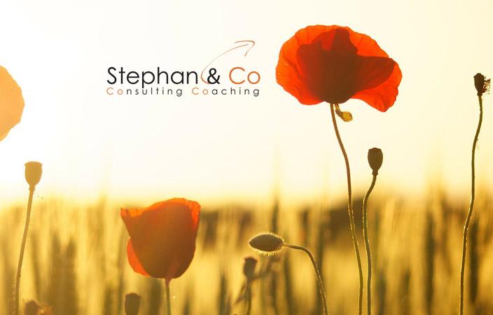 Stephan & co - Conseil coaching formation